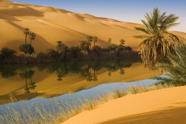 Manhã num oásis. Deserto Líbio. Dunas arenosas e lago de água salgada . — Fotografia de Stock