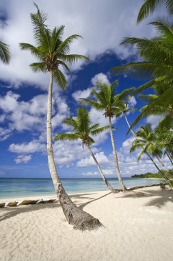 Mauritius lüks Resort güzel bir tropikal plaj