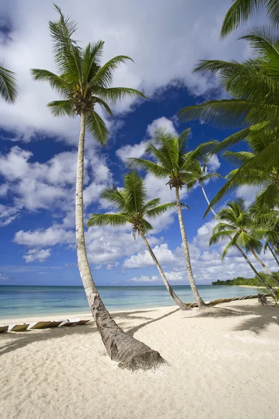 Красивий тропічний пляж в розкішний курорт на Маврикії — стокове фото