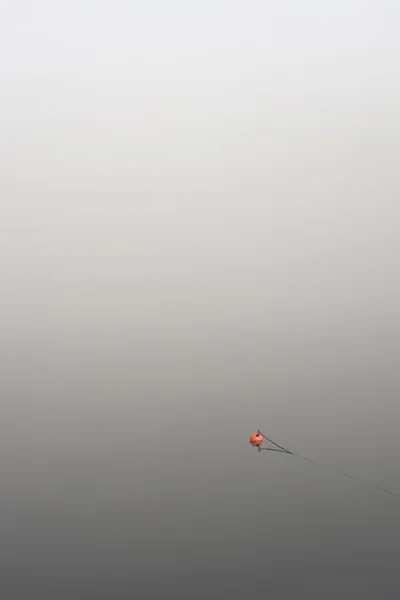 水に浮かんでいます。 — ストック写真