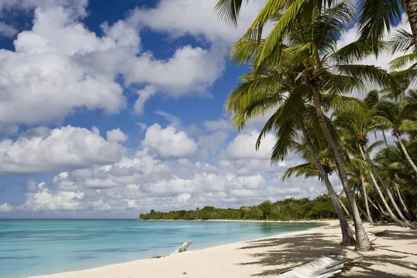 Belle plage tropicale dans un complexe de luxe à Maurice — Photo