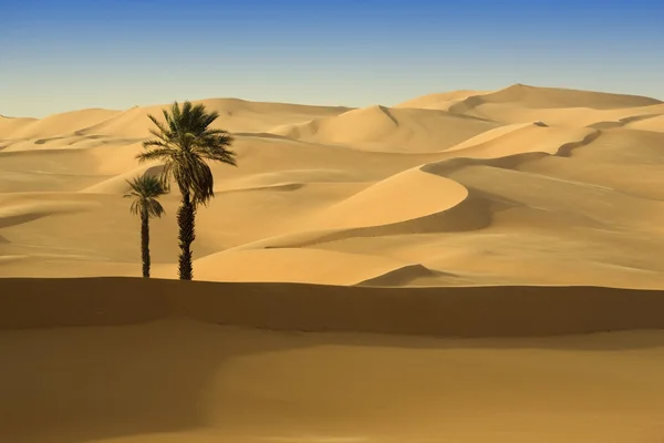 Dunas de arena al atardecer en el desierto del Sahara, Libia . — Foto de Stock