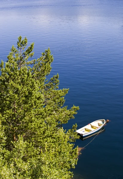 Reflet d'arbre dans l'eau, avec petit bateau — Photo