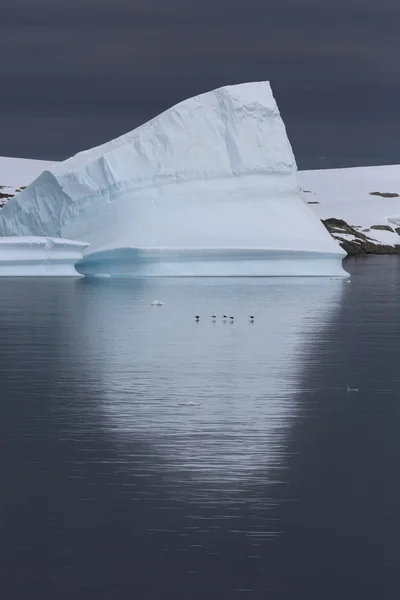 Natureza da Península Antártica. Ices e icebergs. Viaje em águas profundas e puras entre as geleiras da Antártida. Fantásticas paisagens de neve . — Fotografia de Stock