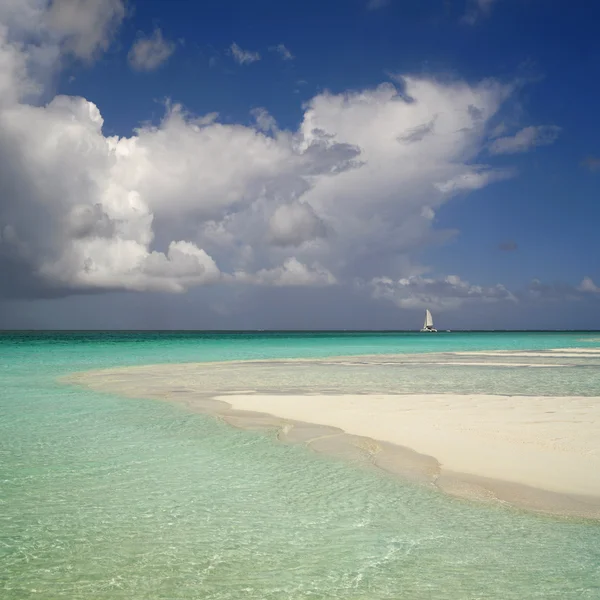 热带海滩。蓝蓝的天空和清澈的水 — 图库照片
