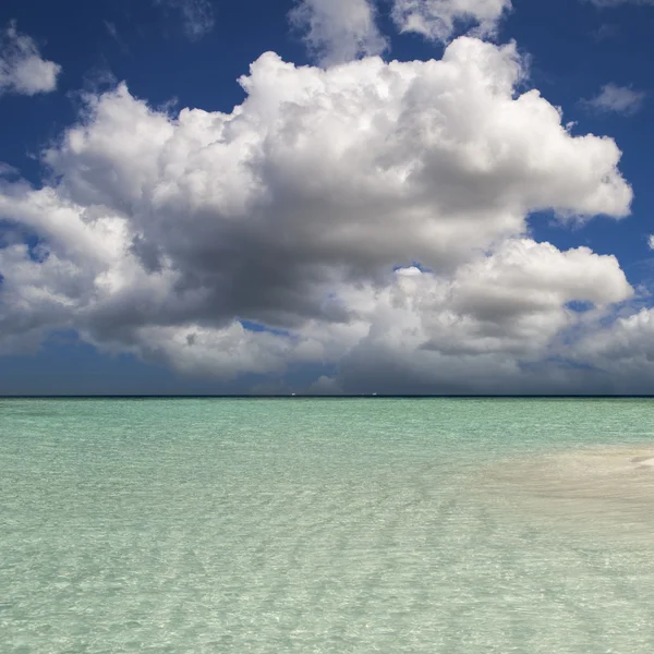 Tropisch strand. hemel en zee. — Stockfoto