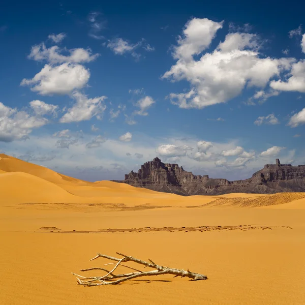 Rocce del deserto del Sahara — Foto Stock