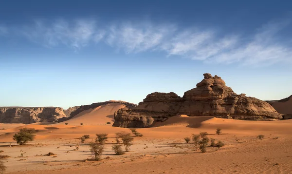 Libya çöl. yoğun altın tozu, tepeleri ve düşük güneş ışığında güzel kumlu yapıları