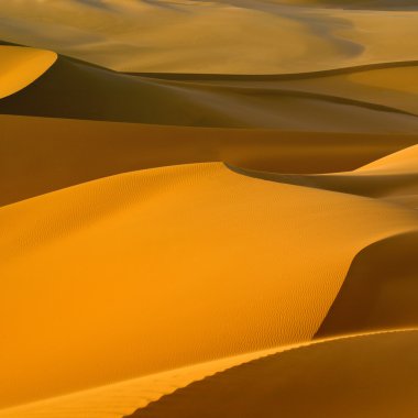 Libya Çölü.