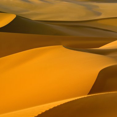 Libyan Desert. clipart