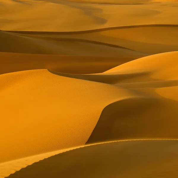 Deserto libico . — Foto Stock