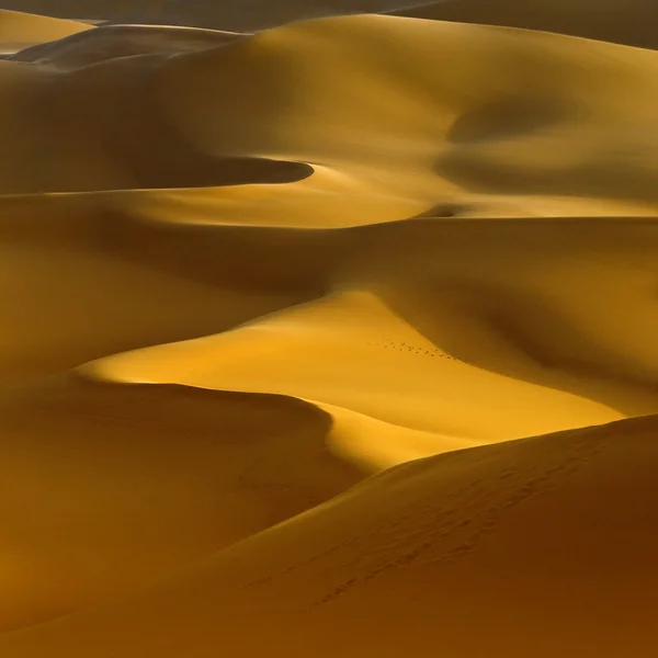 Deserto Líbio. Poeira de ouro densa, dunas e belas estruturas arenosas à luz do sol baixo . — Fotografia de Stock