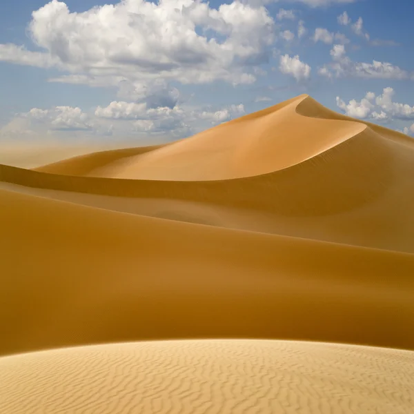 Désert libyen. Dense poussière d'or, dunes et beau sable fin — Photo