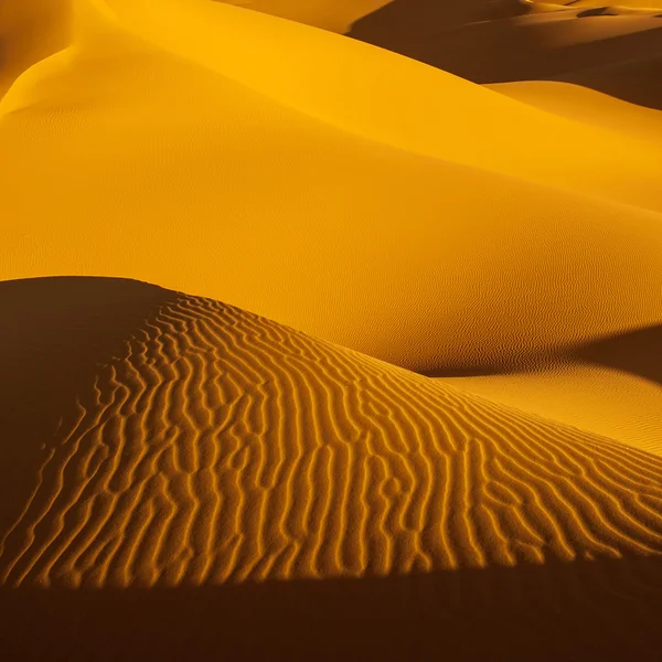 Sand dunes in the Sahara Desert, Libya — Stock Photo, Image
