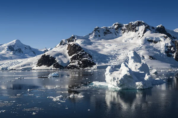 Glaciers and icebergs of Antarctic Peninsula — Stock Photo, Image