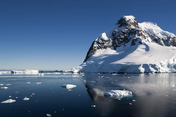 Geleiras e icebergues da Península Antártica — Fotografia de Stock