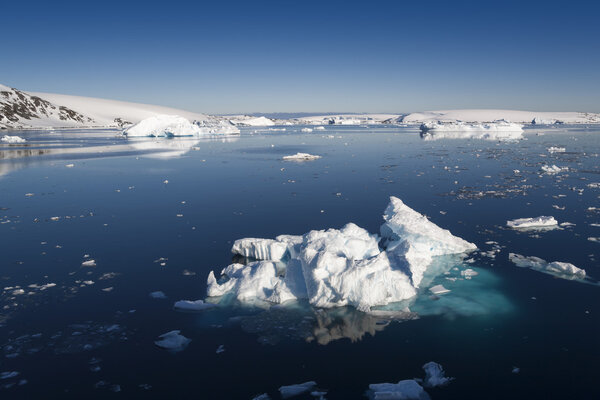 Glaciers and icebergs of Antarctic Peninsula