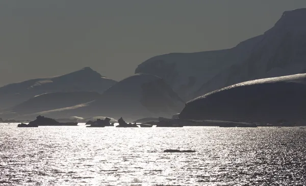 हिमनदी आणि अंटार्क्टिक द्वीपसमूह बर्फाच्छादित — स्टॉक फोटो, इमेज