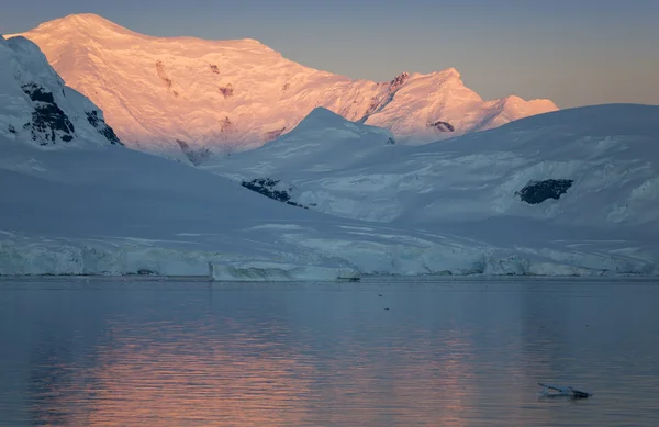 Glaciärer och isberg i Antarktis halvön — Stockfoto