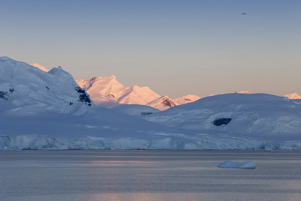 Ghiacciai e iceberg della penisola antartica — Foto Stock