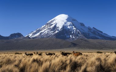Nature of mountain Bolivia clipart