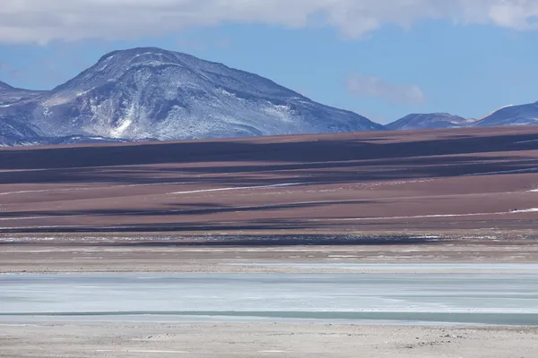 Natur des Gebirges Bolivien — Stockfoto