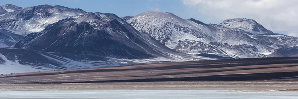 Natur des Gebirges Bolivien — Stockfoto