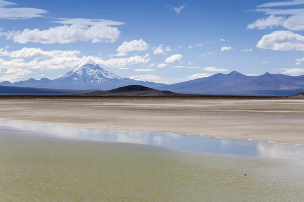 Natur des Gebirges Bolivien — Stockfoto