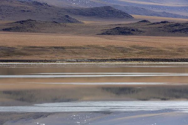 Natur des Gebirges Bolivien — Stockfoto