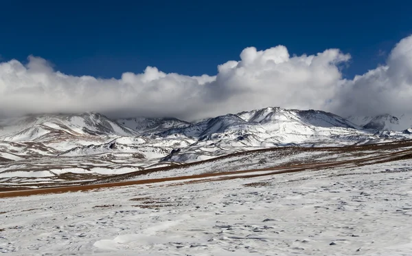 Nature of mountain Bolivia — Stock Photo, Image