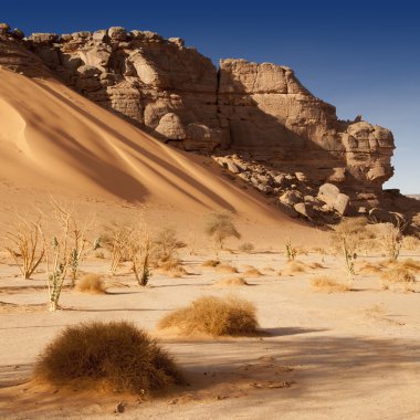 kayalar Sahra Çölü, libya kaldırıldı