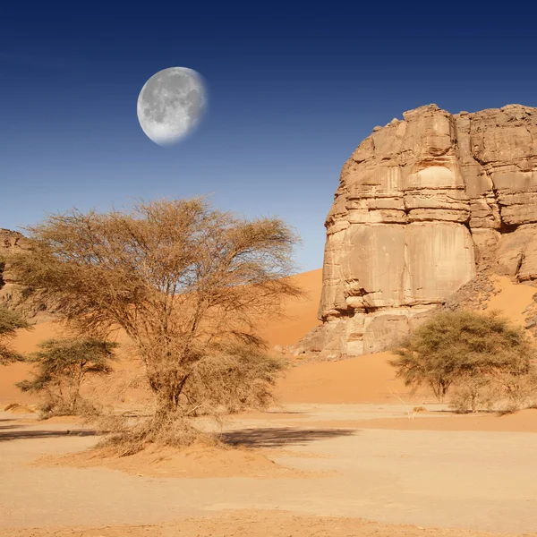 Rocas removidas en el desierto del Sahara, Libia — Foto de Stock