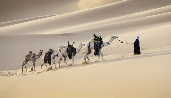 Caravana en el desierto del Sahara, Libia — Foto de Stock
