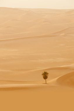 Oasis in Sahara Desert, Libya clipart