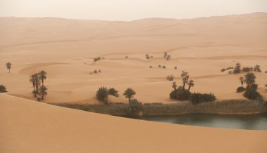 Oasis Sahra Çölünde, libya