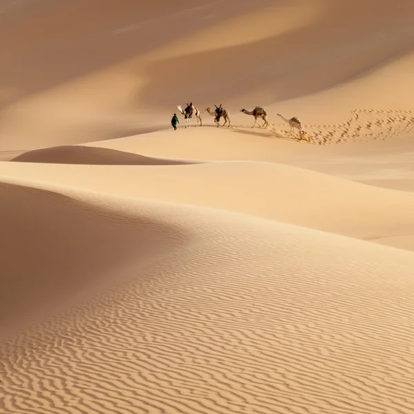 Caravan in the Sahara Desert, Libya — Stock Photo, Image