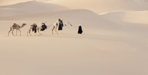Karawany na pustyni sahara, Libia — Zdjęcie stockowe