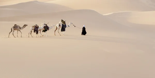 Caravana en el desierto del Sahara, Libia —  Fotos de Stock