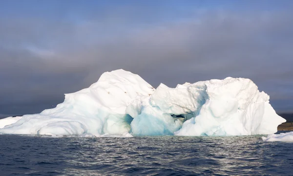 南极半岛的性质。国际海洋考察理事会和冰山 — 图库照片