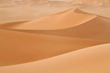 Libya Çölü.