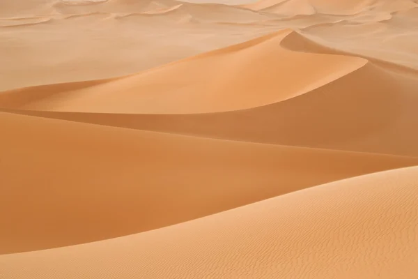 Deserto libico . — Foto Stock