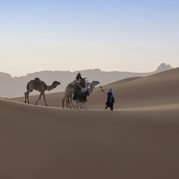 Carovana nel deserto del Sahara, Libia — Foto Stock