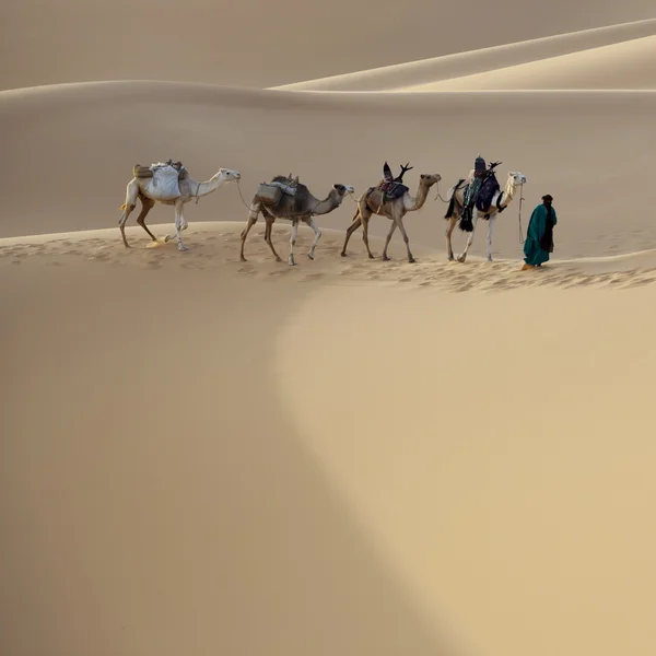 Caravana no deserto do Saara, Líbia — Fotografia de Stock