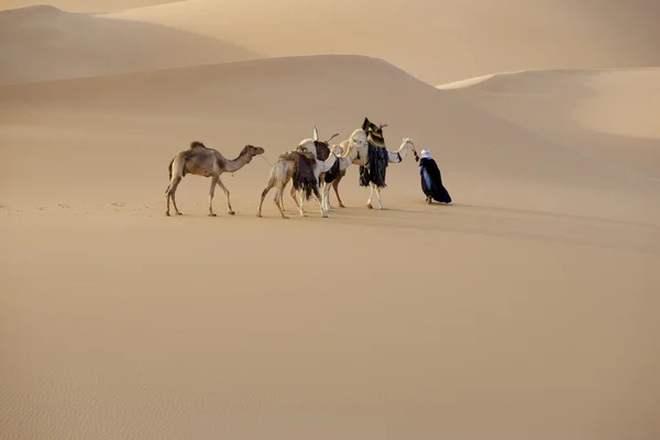 A Sahara sivatagban, Líbia karaván — Stock Fotó