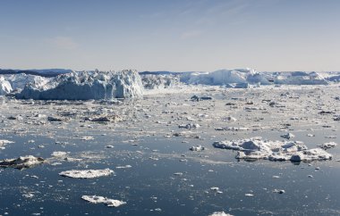 Batı Grönland kıyılarında.