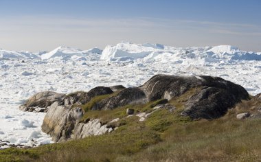Batı Grönland kıyılarında.