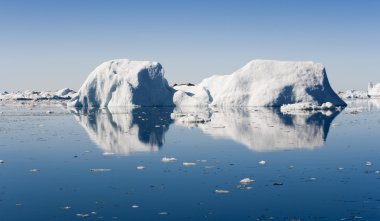 Mavi icebergs Grönland