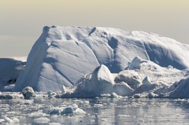 Mavi icebergs Grönland