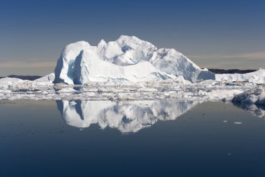 Mavi icebergs Grönland
