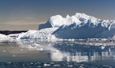 Mavi icebergs Grönland